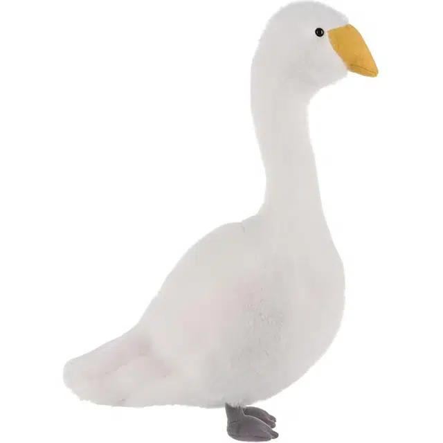 APRICOT LAMB 30cm