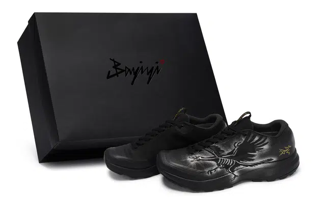 Arcteryx Aerios Fl 2 GTX 811