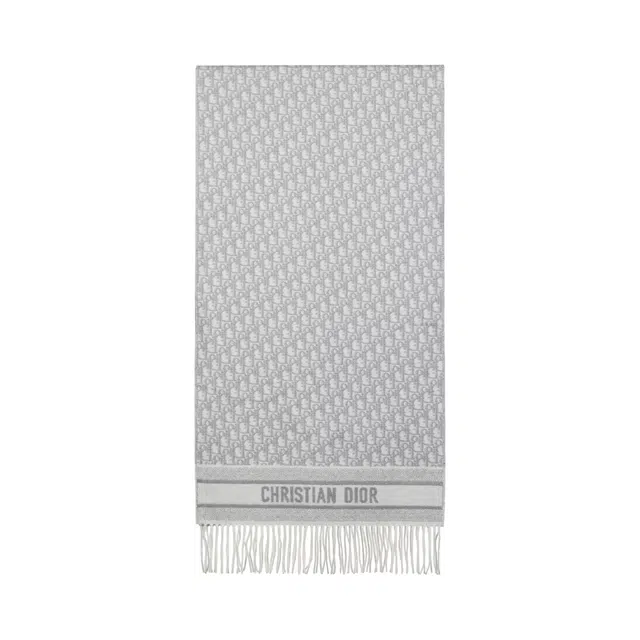 DIOR OBLIQUE