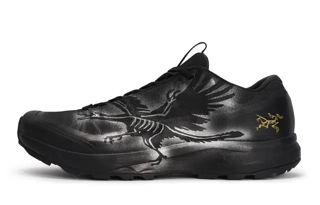 Arcteryx Aerios Fl 2 GTX 811