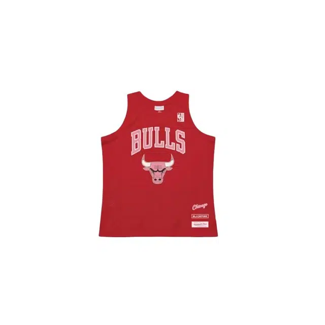 Mitchell Ness x BLACKPINK x NBA Chicago Bulls