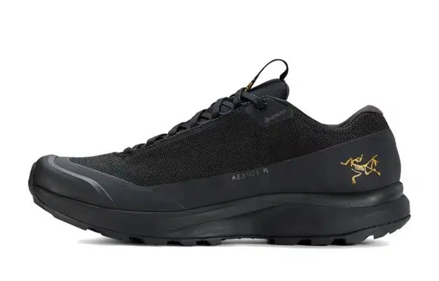 Arcteryx Aerios Fl 2 GTX 811