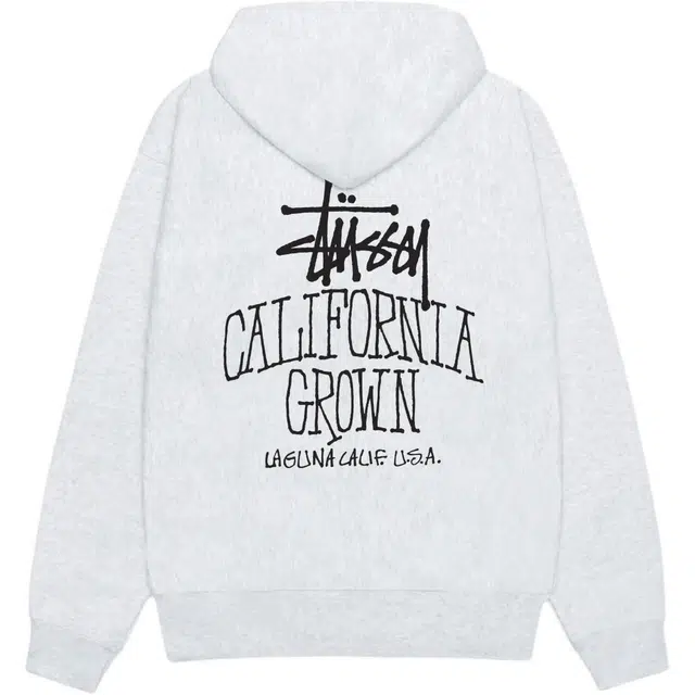 Stussy FW25 SS25 CALI GROWN ZIP HOODIE logo