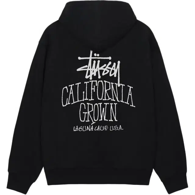 Stussy FW25 SS25 CALI GROWN ZIP HOODIE logo