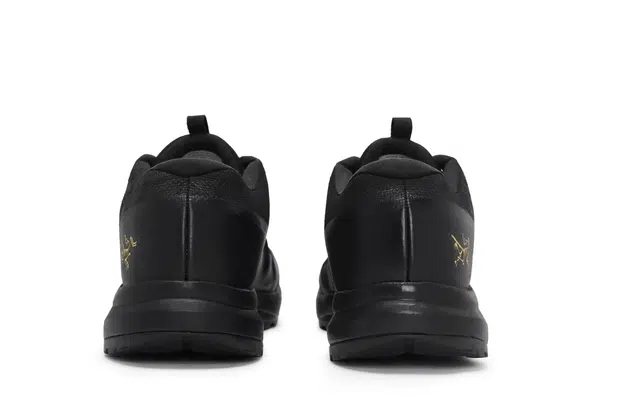 Arcteryx Aerios Fl 2 GTX 811