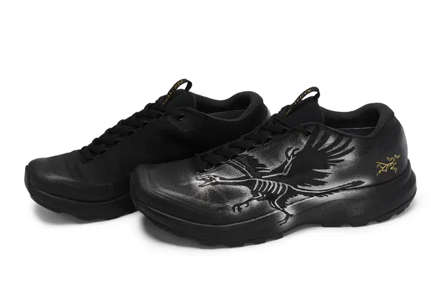 Arcteryx Aerios Fl 2 GTX 811