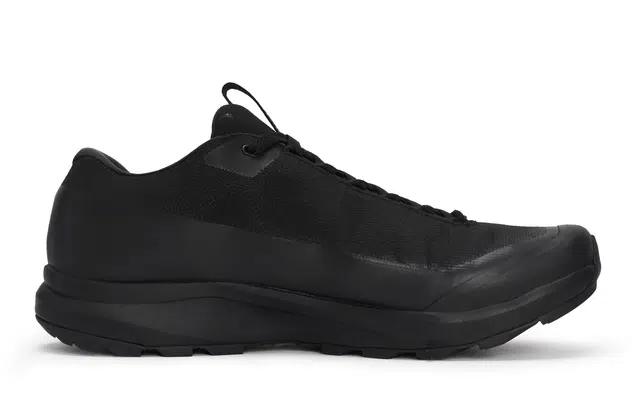 Arcteryx Aerios Fl 2 GTX 811