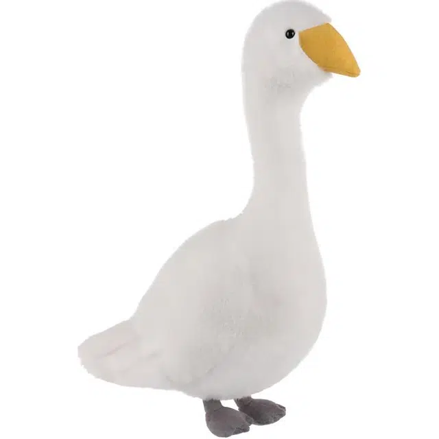 APRICOT LAMB 30cm