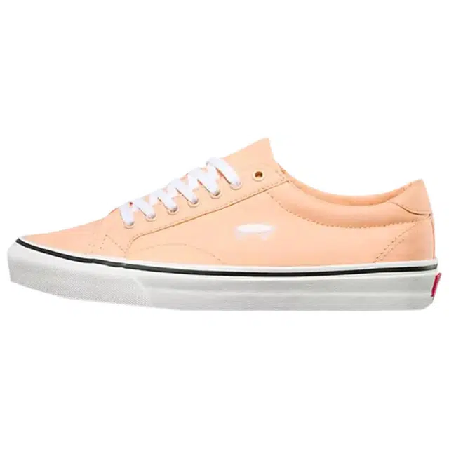 Vans Court Icon