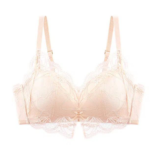 二三二三 纯欲蕾丝透气吸汗聚拢塑型防下垂亲肤柔软舒适氛围感美背时尚日常百搭无钢圈可调节肩带文胸 女款
