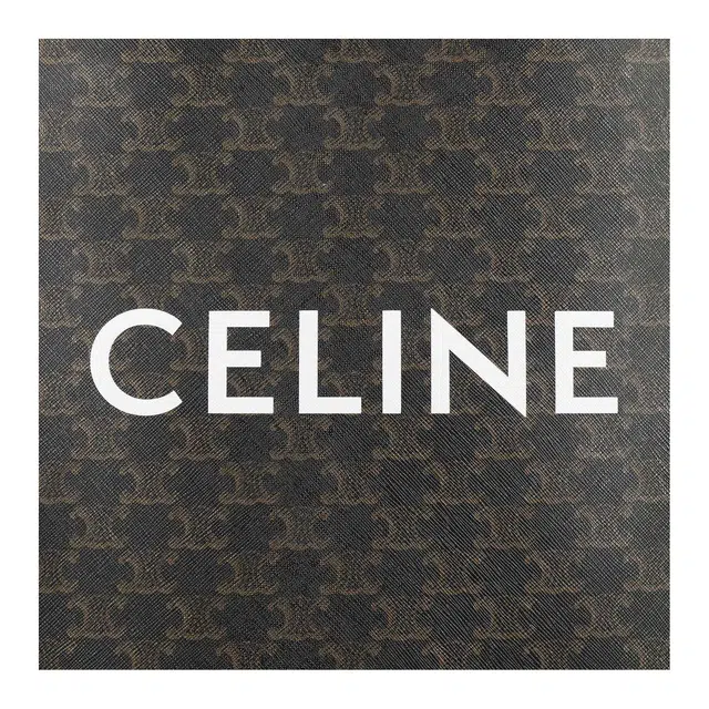CELINE Cabas Triomphe Tote
