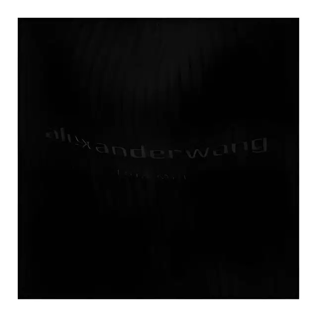 alexander wang