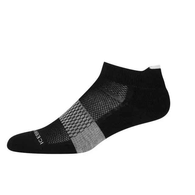 icebreaker Merino Multisport Light Micro