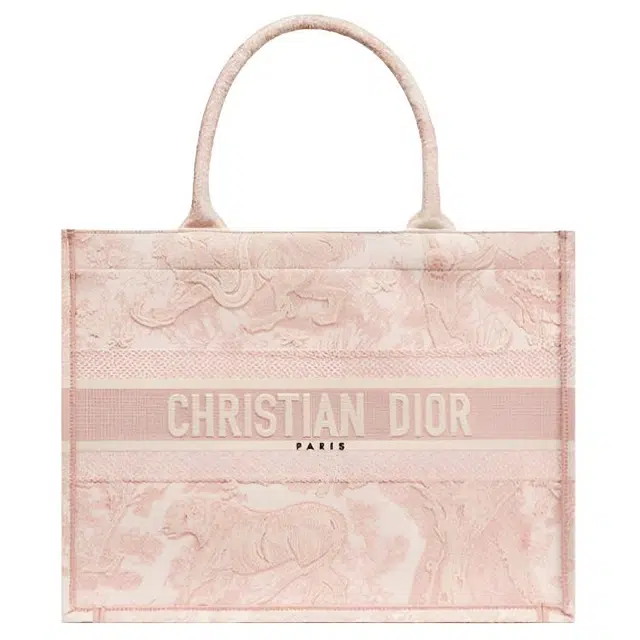 Dior Book Tote