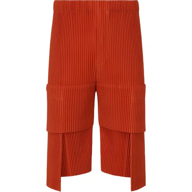 Homme Pliss Issey Miyake FW25