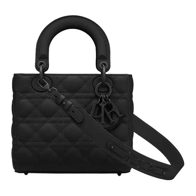 DIOR Lady DiorMy ABCDior