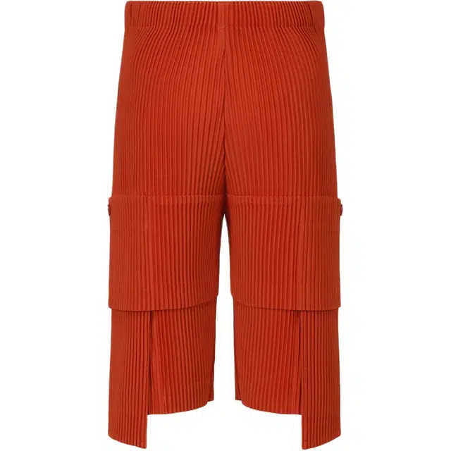 Homme Pliss Issey Miyake FW25