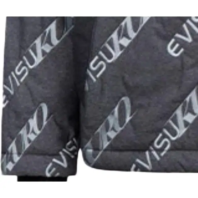 EVISU Logo