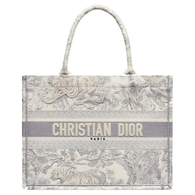 DIOR BookTote Tote