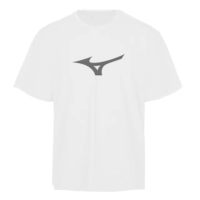 Mizuno T