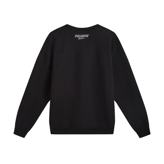 fun x Snoopy