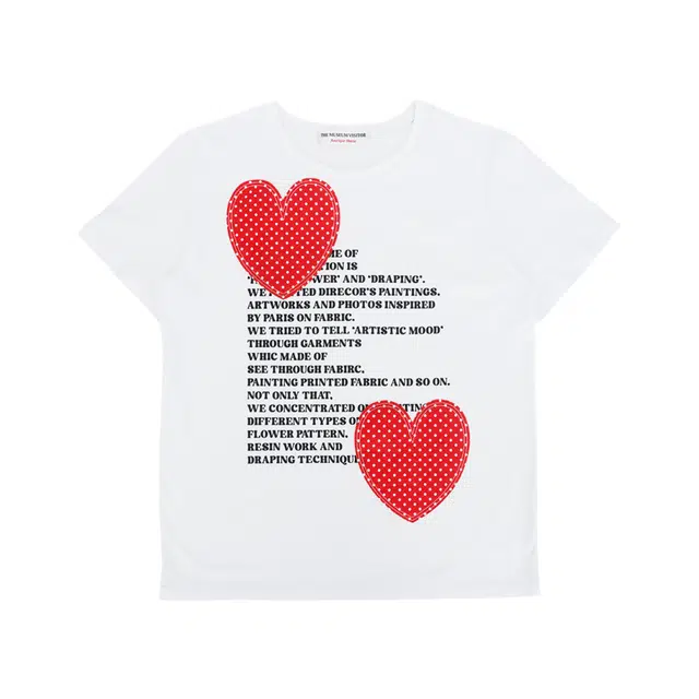 THE MUSEUM VISITOR T