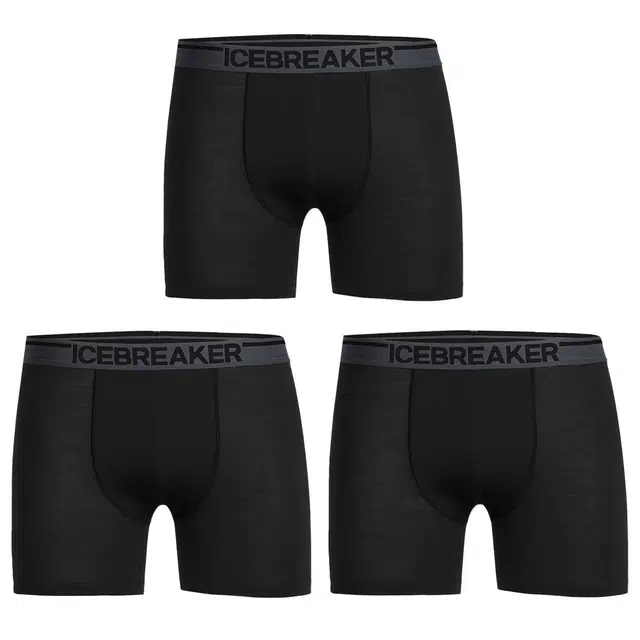 icebreaker Merino 150 Anatomica