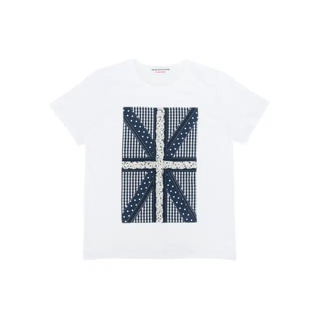 THE MUSEUM VISITOR T