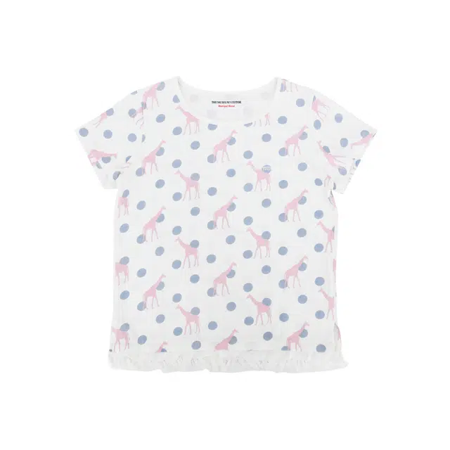 THE MUSEUM VISITOR T