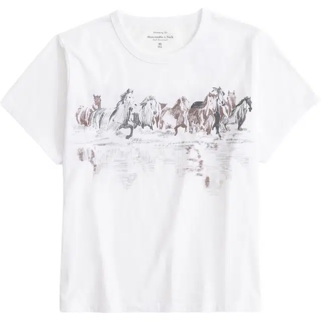 AbercrombieFitch T