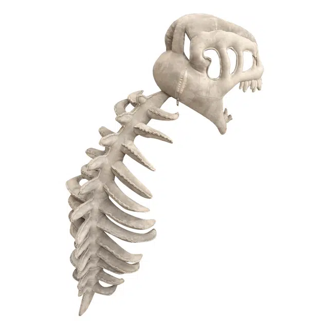 MENGMENGBUNNY 75cm115cm