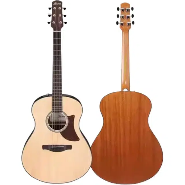 Ibanez AAM50AAM54AAM50CE 41