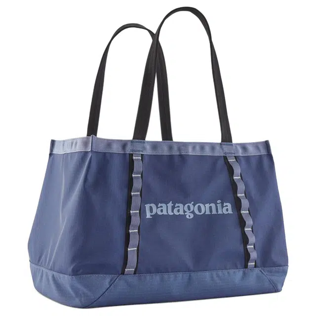 patagonia Black Hole 25L ) Tote