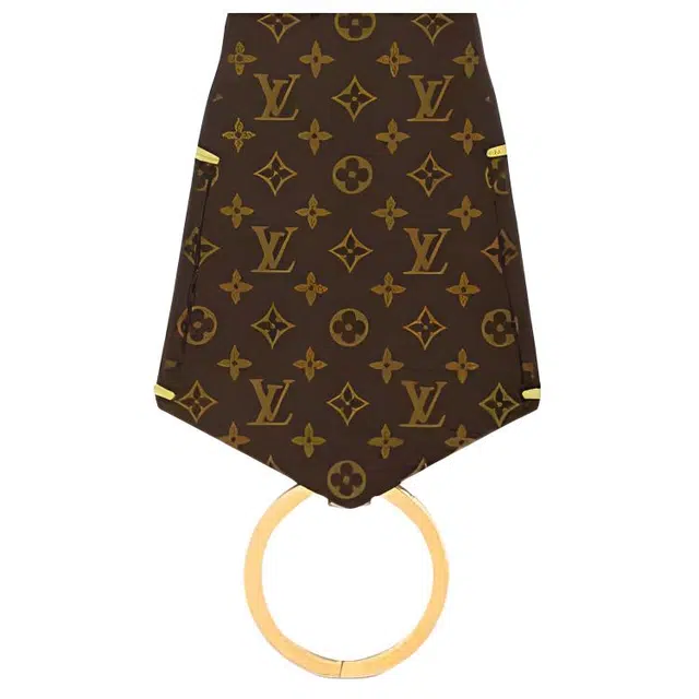 LOUIS VUITTON Cat