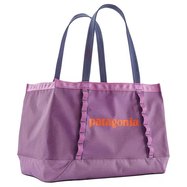 patagonia 25L Tote