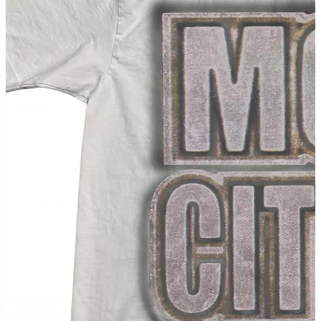 Travis Scott FW24 T
