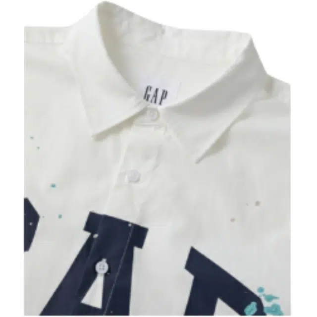 GAP Logo