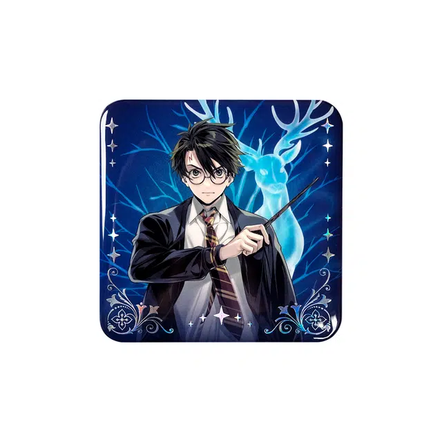 HARRY POTTER
