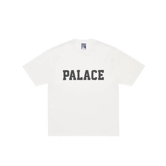 PALACE FW25 DROP3 COLLEGE T-SHIRTT