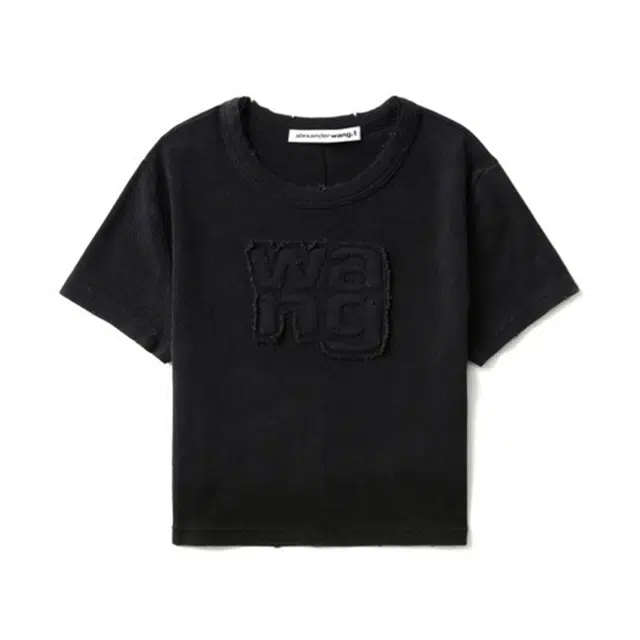alexander wang logo T