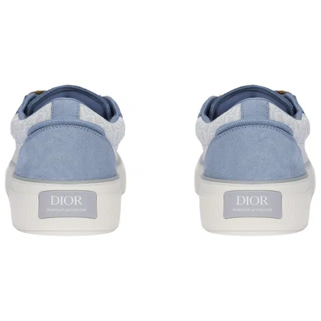 DIOR B33