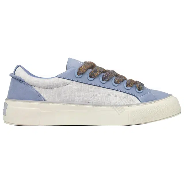 DIOR B33