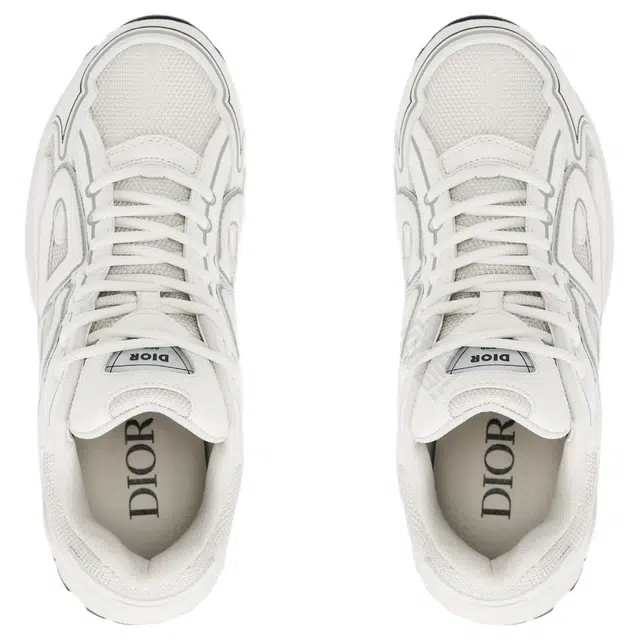 DIOR B30