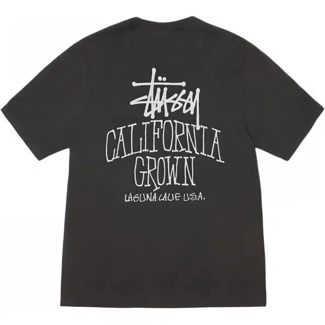 Stussy FW25 SS25 CALI GROWN TEE PIGMENT DYED logoT