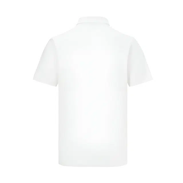 Mizuno LOGOpolo 1