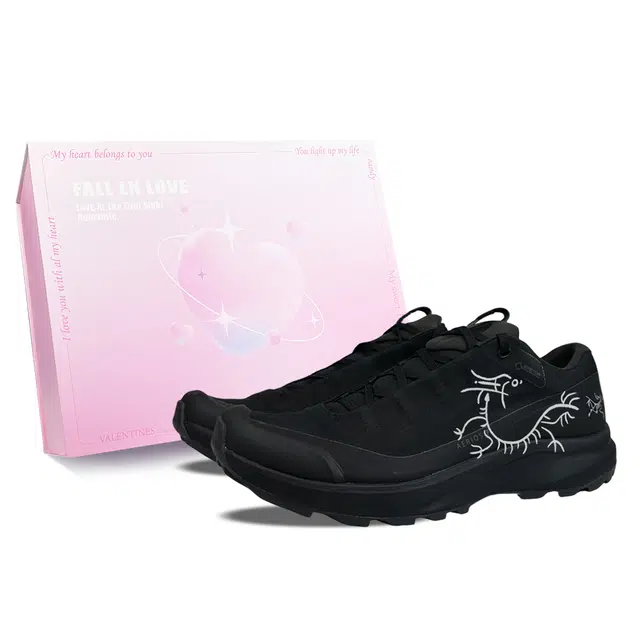 Arcteryx AERIOS FL GTX