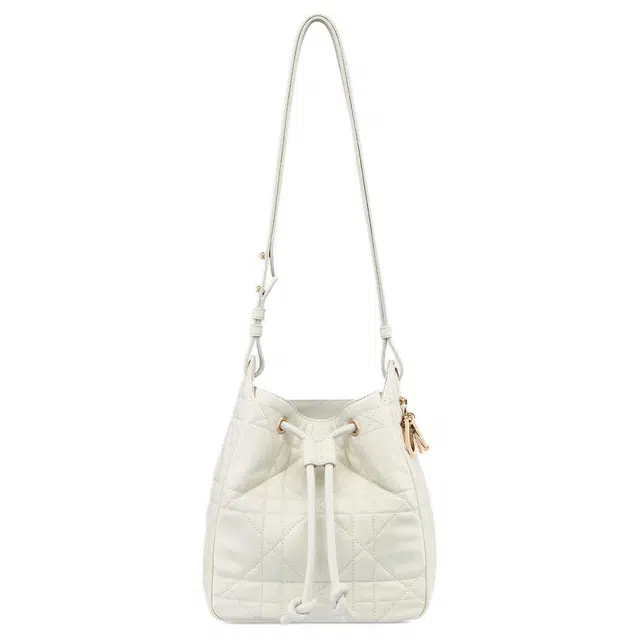 DIOR D-Motion