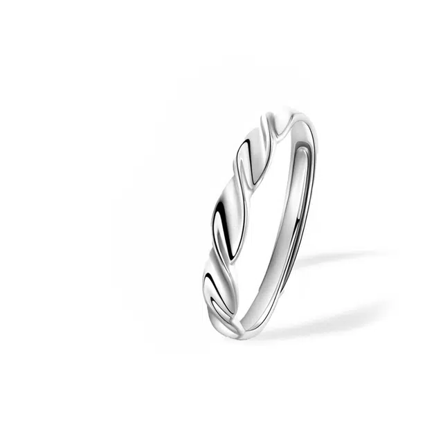 莫比乌斯环情定众生情侣对戒 轻奢小众简约设计恋爱告白官宣食指戒#好运 琉堇 女友七夕限定周年礼盒 锆石 可调节戒指 男女同款情侣款