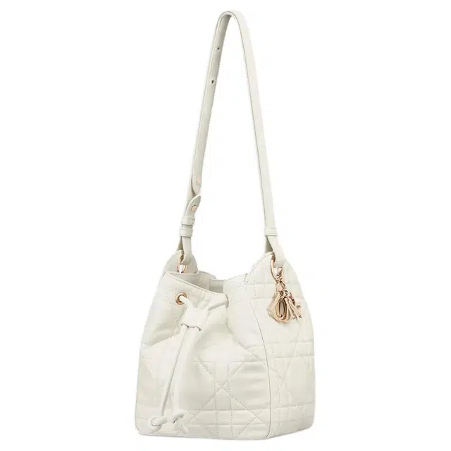 DIOR D-Motion