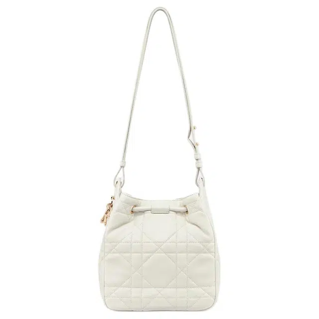 DIOR D-Motion